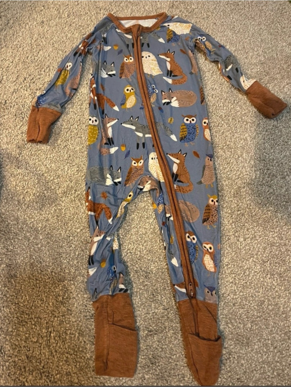 Little Sleepies Blue Woodland Animal Footed Pajamas with Brown Trim